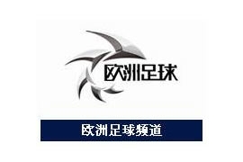 欧洲足球